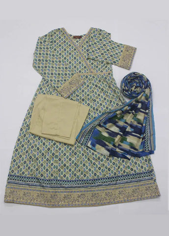 Bin Saeed Fabric - LFR-1802 - 3 Piece Lawn Embroidery Frock Style Shirt