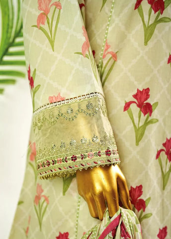 3 Piece Embroidred Stitched Pista Green Color Cotton Frock with Trouser & Dupatta