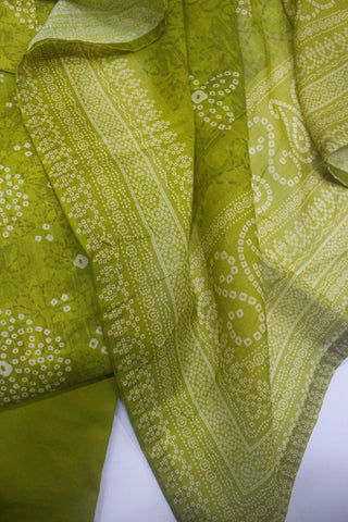 3 Piece Printed Stitched Parrot Green Color Lawn Shirt with Trouser & Dupatta