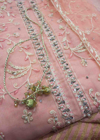 Bin Saeed Fabric - MS-D40 B- 2 Piece Embroidered Organza