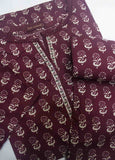 NSM-0199- 2 Piece Printed Cotton Stitched Co Ords