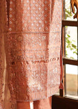 RTS-002 - 3 Piece Embroidered Organza