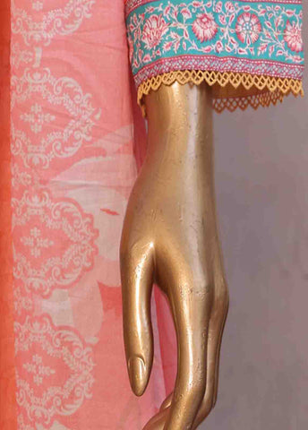 SM-RE-015-3 Piece Chikankari Stitched Suit
