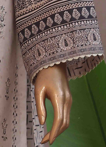 Bin Saeed Fabric - SM-RE-033-3 Piece Chikankari Stitched Suit