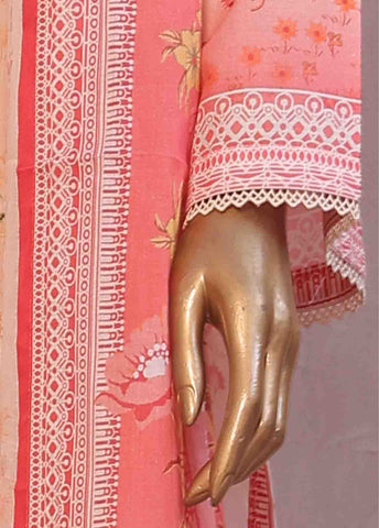 Bin Saeed Fabric - WC-RE-029-3 Piece Chikankari Stitched Suit