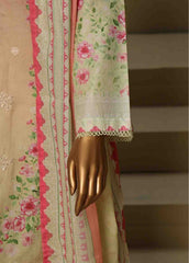 WCE-026-3 Piece Cotton Chikankari Stitched Suit