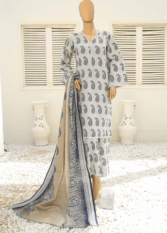 Bin Saeed Fabric - WKF-076-3 Piece Khaddar Printed
