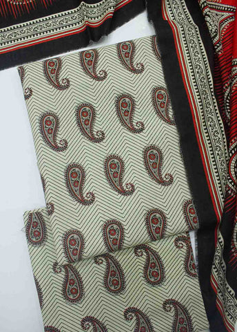 Bin Saeed Fabric - WK_R_001-3 Piece Khaddar Printed Unstitched Suit