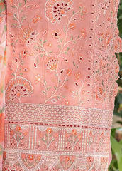 WCTF-015 B- 3 Piece Embroidered Stitched Suit