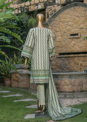 CC-0039- 3 Piece Lawn Chikankari