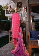 F-0607- 3 Piece Printed Stitched