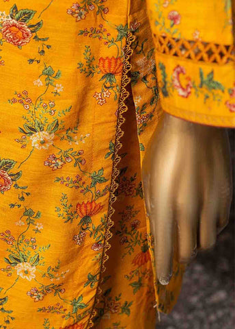 Bin Saeed Fabric - KF-0006- 2 Piece Printed Khaddar