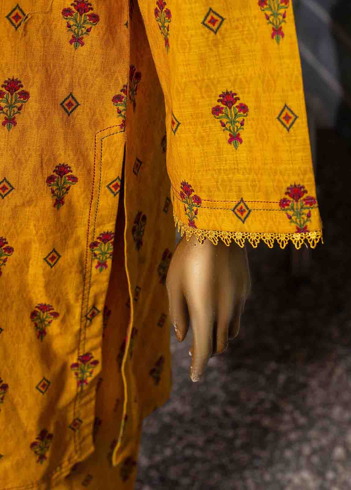 Bin Saeed Fabric - KF-0011 - 2 Piece Printed Khaddar