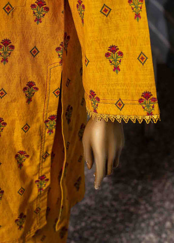 Bin Saeed Fabric - KF-0011 - 2 Piece Printed Khaddar